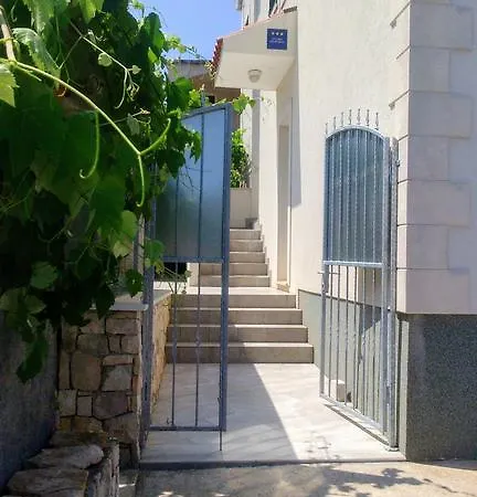 Iris קורצולה