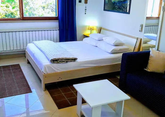 Iris * קורצולה